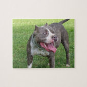 BLAUW PITBULL PUZZLE LEGPUZZEL (Horizontaal)