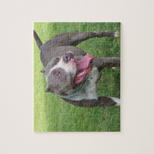 BLAUW PITBULL PUZZLE LEGPUZZEL (Verticaal)