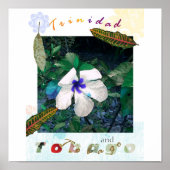 blauw pollen zazzle poster (Voorkant)