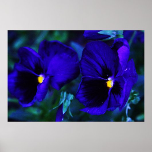 Blauw Poster (Voorkant)