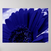 Blauw Poster (Voorkant)