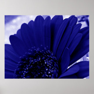 Blauw Poster