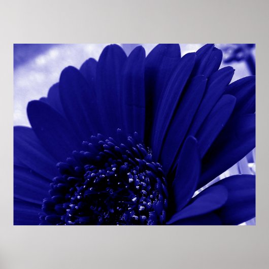 Blauw Poster (Voorkant)