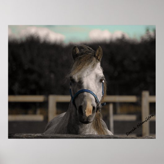 Blauw Poster (Voorkant)