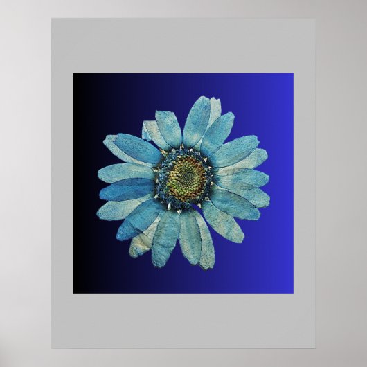 blauw poster (Voorkant)