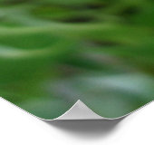 Blauw Poster van Cornflower (Hoek)