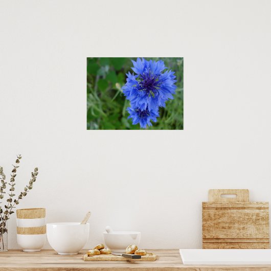Blauw Poster van Cornflower (Keuken)