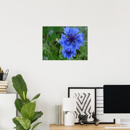 Blauw Poster van Cornflower (Thuiskantoor)