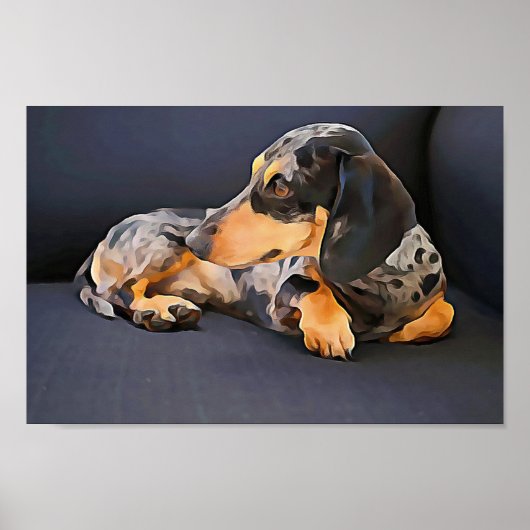 blauw poster van dachshund (Voorkant)