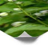 Blauw poster van delfinebloem (Hoek)