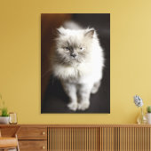 Blauw punt Himalayan Kat ziet er geïrriteerd uit Canvas Afdruk (Insitu (Woonkamer))