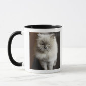 Blauw punt Himalayan Kat ziet er geïrriteerd uit Mok (Links)