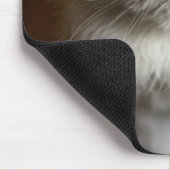 Blauw punt Himalayan Kat ziet er geïrriteerd uit Muismat (Hoek)