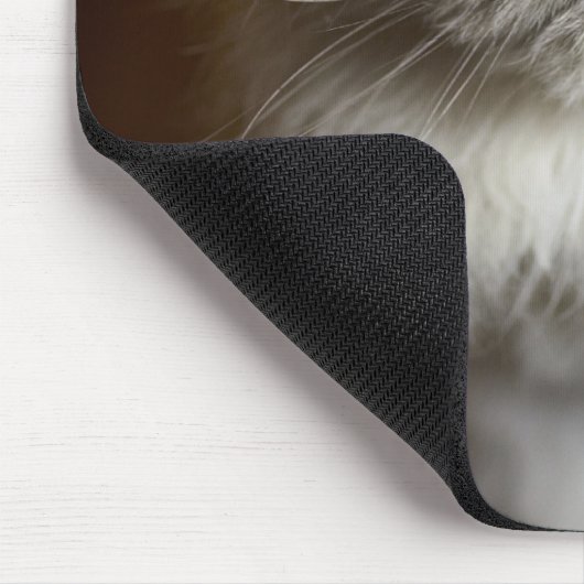 Blauw punt Himalayan Kat ziet er geïrriteerd uit Muismat (Hoek)