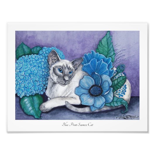 Blauw punt Siamese fotoafdruk Foto Afdruk (Voorkant)