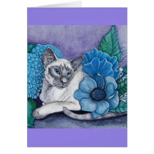 Blauw punt Siamese kat