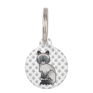 Blauw punt tabby Birman / Ragdoll kat & huisdier i Huisdierpenning