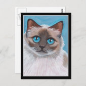 Blauw ragdoll kattenportret briefkaart (Voorkant / Achterkant)