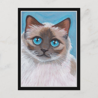 Blauw ragdoll kattenportret briefkaart