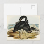Blauw Ref Heron door Elizabeth Gould Briefkaart (Voorkant / Achterkant)