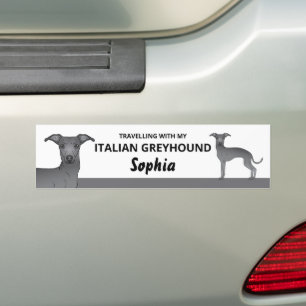 Blauw - reizen met mijn Italiaanse dolfijnen Bumpersticker