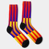 Blauw Rood Geel Gestreept Patroon Sokken (Rechts)