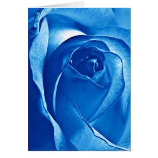 Blauw Roos