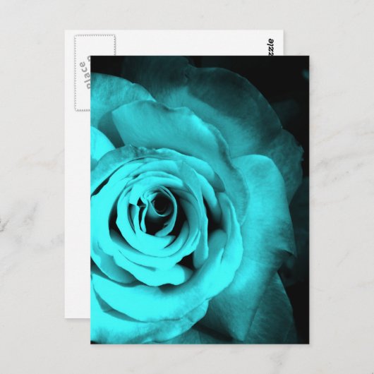 Blauw Roos Briefkaart (Voorkant / Achterkant)