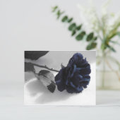 Blauw Roos Briefkaart (Staand voorkant)