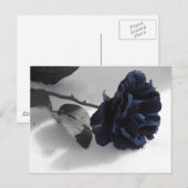 Blauw Roos Briefkaart (Voorkant / Achterkant)