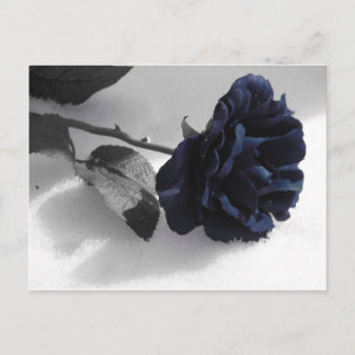 Blauw Roos Briefkaart