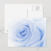Blauw roos briefkaart (Voorkant / Achterkant)