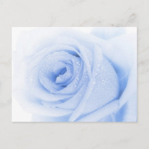 Blauw roos briefkaart