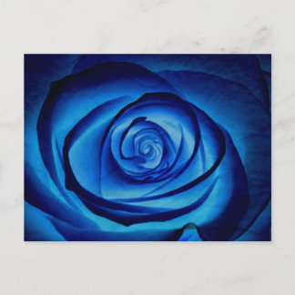 Blauw Roos Briefkaart