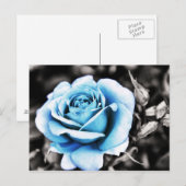 Blauw roos briefkaart (Voorkant / Achterkant)