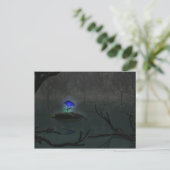 Blauw Roos Briefkaart (Staand voorkant)