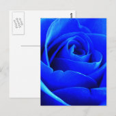 Blauw Roos Briefkaart (Voorkant / Achterkant)
