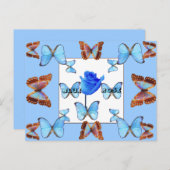 BLAUW ROOS! Briefkaart (Voorkant / Achterkant)