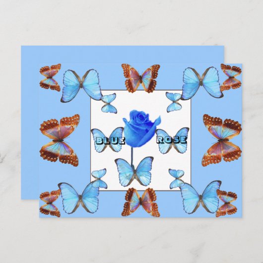 BLAUW ROOS! Briefkaart (Voorkant / Achterkant)