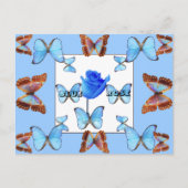 BLAUW ROOS! Briefkaart (Voorkant)