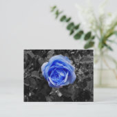Blauw Roos Briefkaart (Staand voorkant)