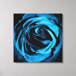 Blauw Roos Canvas Afdruk