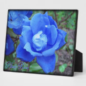Blauw Roos Digitale Foto Plaque Aangepaste tekst Fotoplaat (Zijkant)