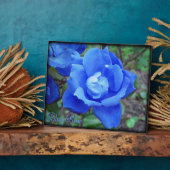 Blauw Roos Digitale Foto Plaque Aangepaste tekst Fotoplaat (Zijkant)