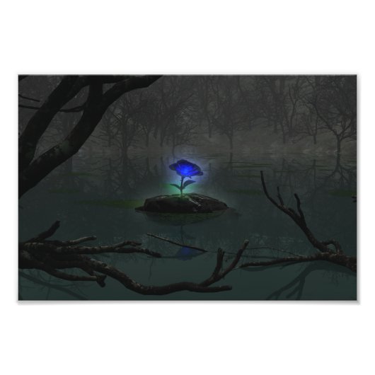 Blauw Roos foto afdrukken (Voorkant)