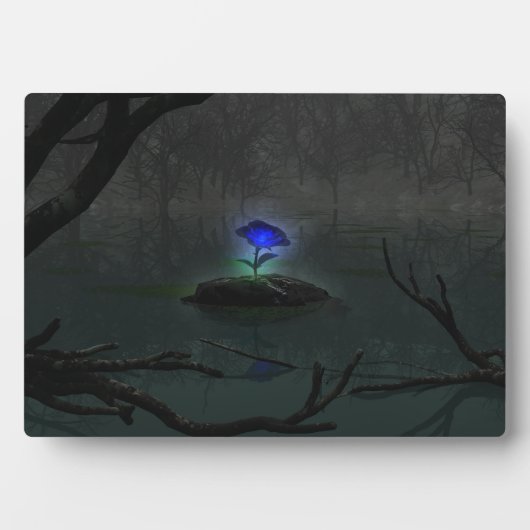 Blauw Roos Foto Plaque Fotoplaat (voorkant)