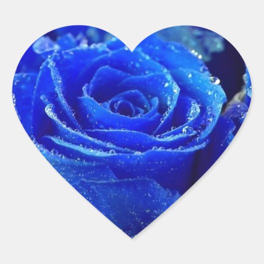 Blauw Roos Hart Sticker (Voorkant)