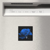 Blauw Roos Magneet (Insitu (Vaatwasser))