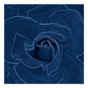 blauw roos perfect poster