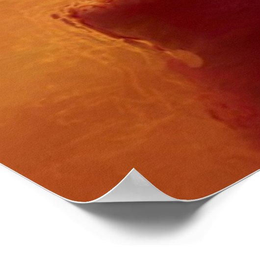 Blauw Roos Poster (Hoek)